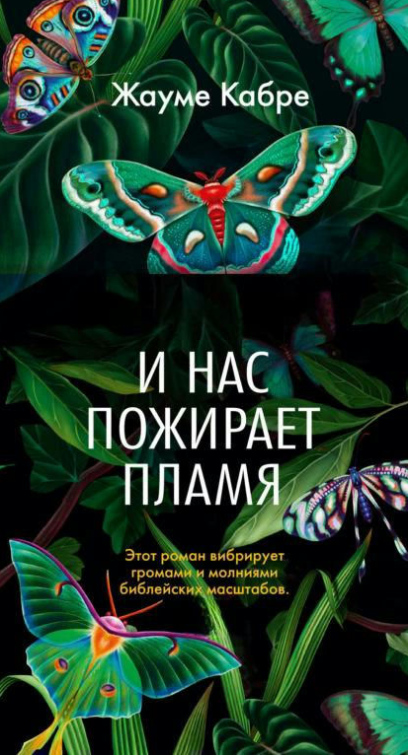 Книга “І нас пожирає полум’я” – Кабре Ж.