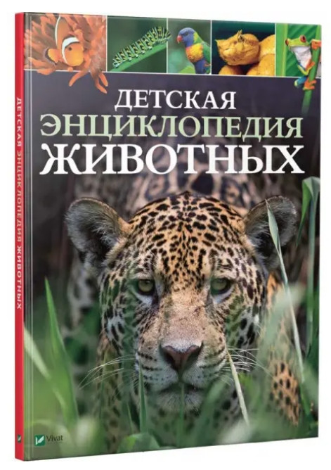 Книга “Дитяча енциклопедія тварин” – Ліч Майкл, Лленд Меріел (Тверда палітурка)