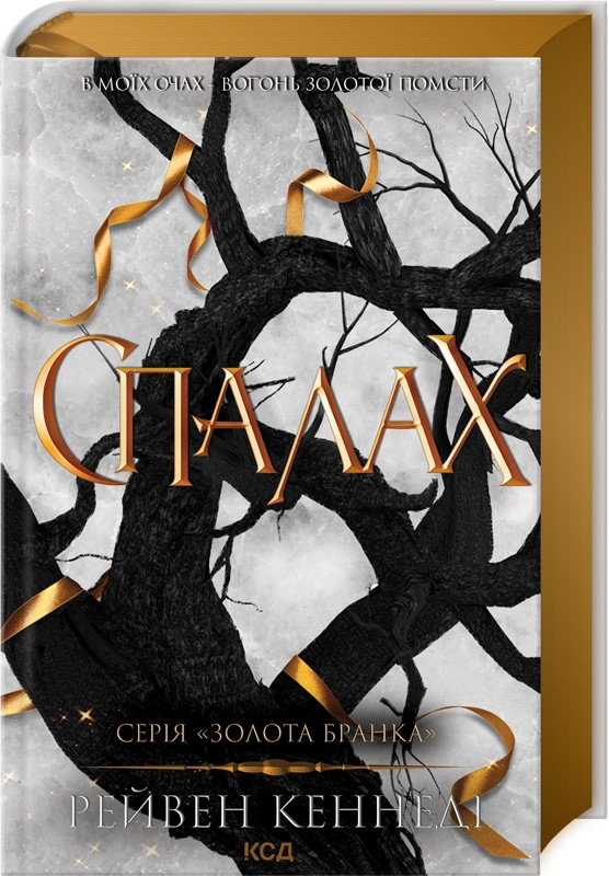 Книга “Спалах. Книга 3” – Рейвен Кеннеді (Тверда обкладинка, українською мовою)