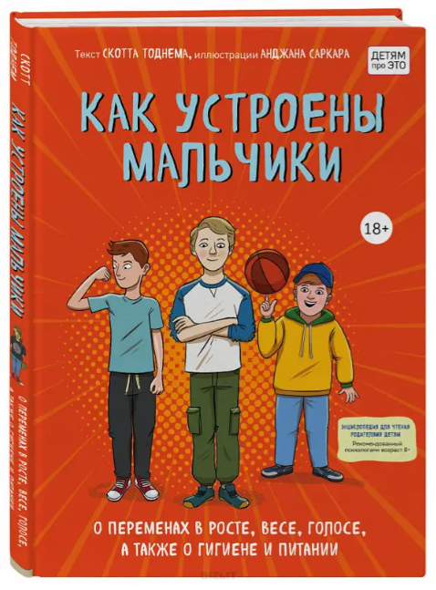 Книга “Як влаштовані хлопчики” – Тоднем С. (Тверда обкладинка)