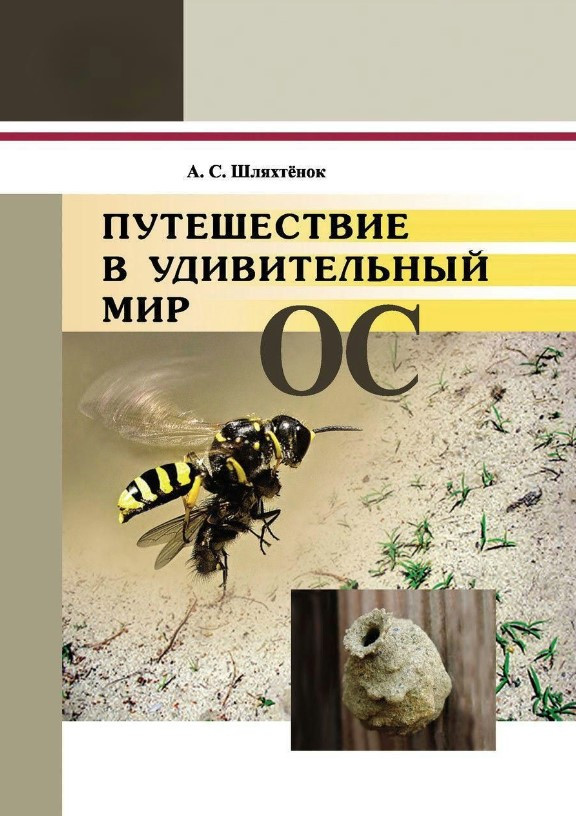 Книга “Подорож у дивовижний світ ос” – Шляхтенок А.