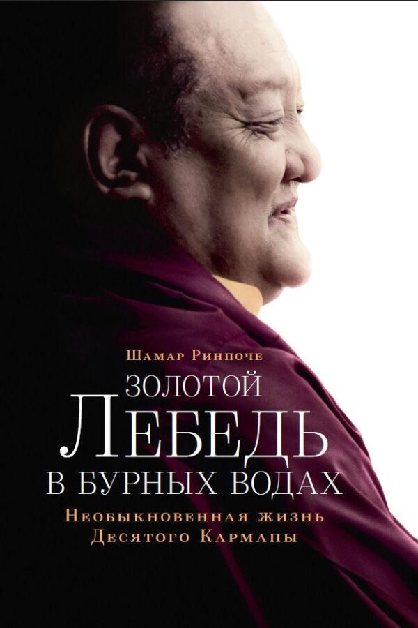 Книга “Золотий лебідь у бурхливих водах” – Шамар Р. (Тверда обкладинка)