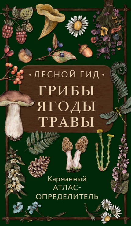Книга “Лісовий гід: гриби, ягоди, трави. Кишеньковий атлас-визначник” – Семенова Л.