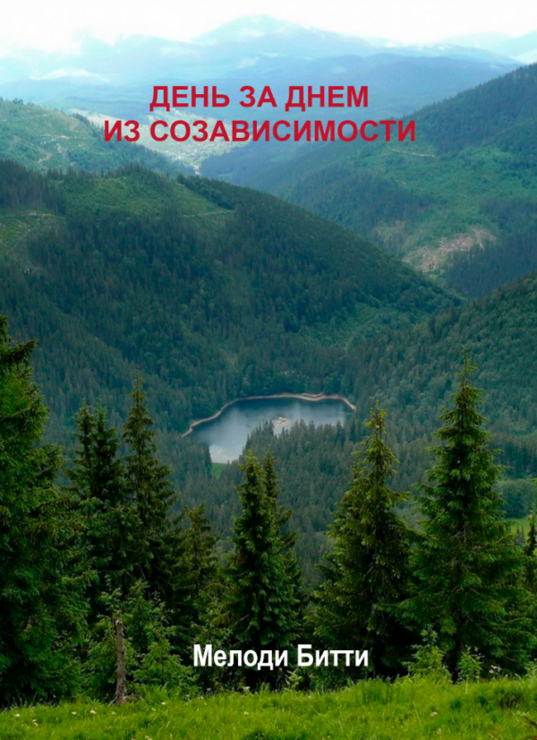 Книга “День за днем ​​із співзалежності” – Бітті М. (Тверда обкладинка)