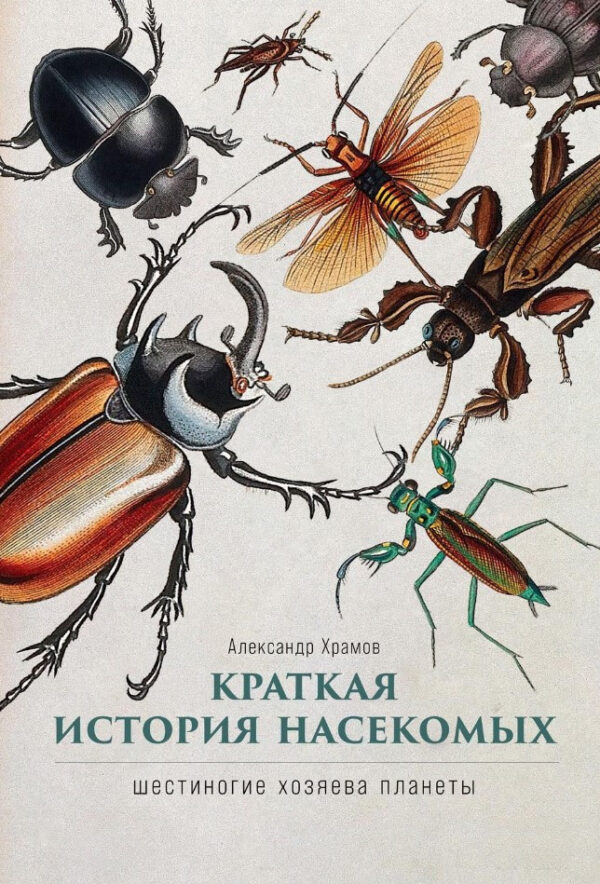 Книга “Коротка історія комах. Шестиногі господарі планети” – Храмов А. (Тверда обкладинка)