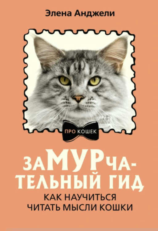 Книга “Замрочний гід. Як навчитися читати думки кішки” – Анджелі Е.