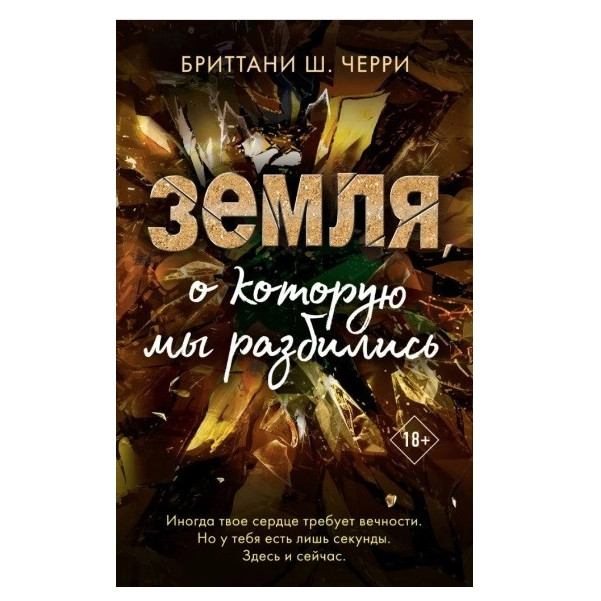 Книга “Земля, об яку ми розбилися” – Брітані Ш. Черрі
