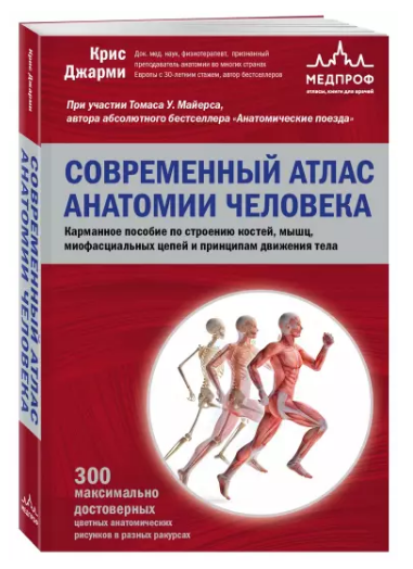 Книга “Сучасний атлас анатомії людини” – Котова С. (Тверда обкладинка)