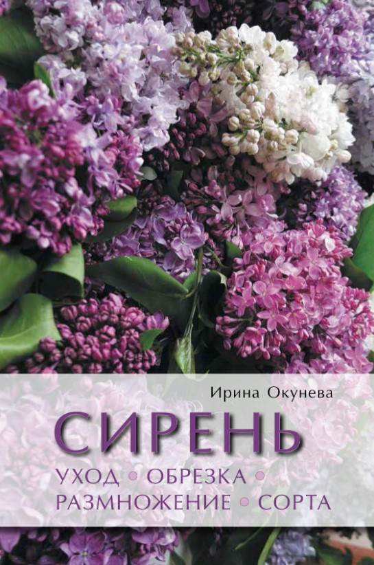 Книга “Бузок. Догляд, обрізка, розмноження, сорти” – Окунева І. (Тверда обкладинка)