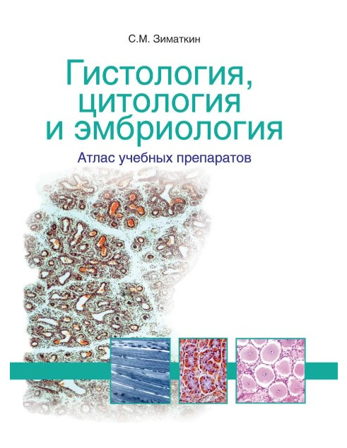 Книга “Гістологія, цитологія та ембріологія: атлас навчальних препаратів” – Зіматкін С.