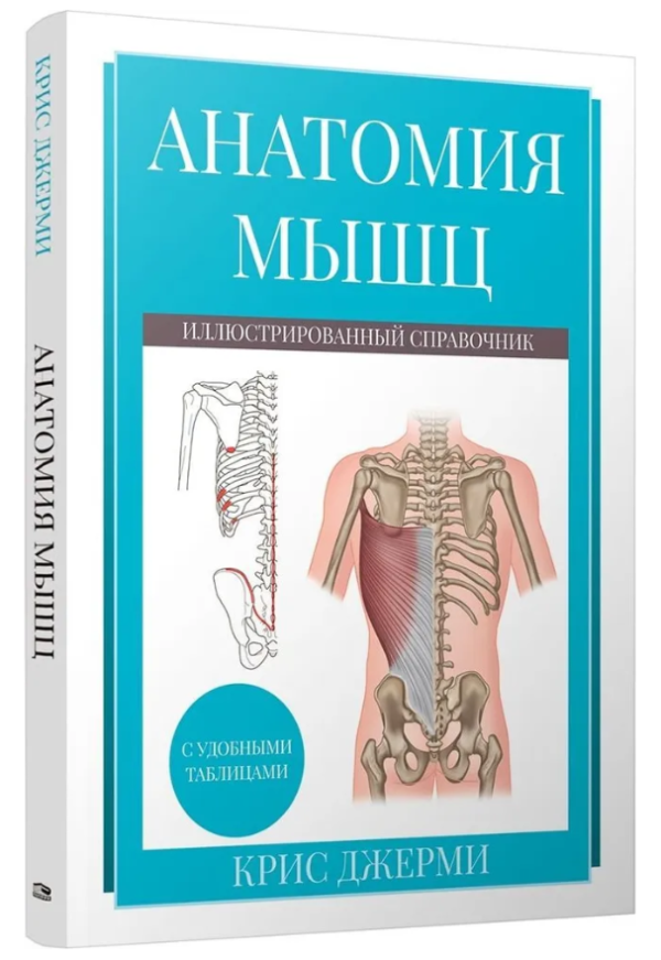 Книга “Анатомія м’язів. Ілюстрований довідник” – Джермі К. (Тверда обкладинка)