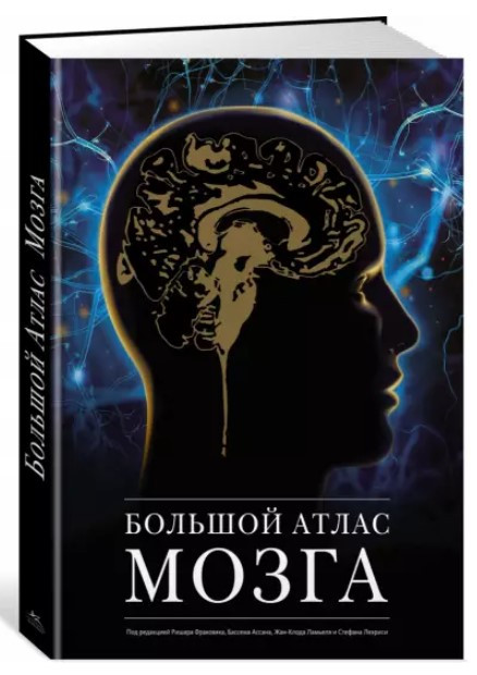 Книга “Великий атлас мозку” – Авторський колектив (Тверда обкладинка)