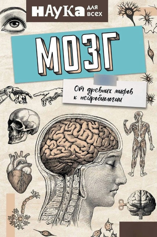 Книга “Мозг. Від древніх міфів до нейробіології” – Руні Е. (Тверда обкладинка)