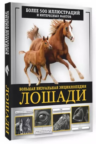 Книга “Коні. Велика візуальна енциклопедія” – Спектор А. (Тверда обкладинка)
