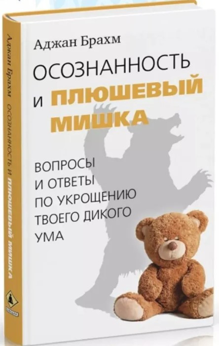 Книга “Свідомість та плюшевий ведмедик” – Брахм А. (Тверда обкладинка)
